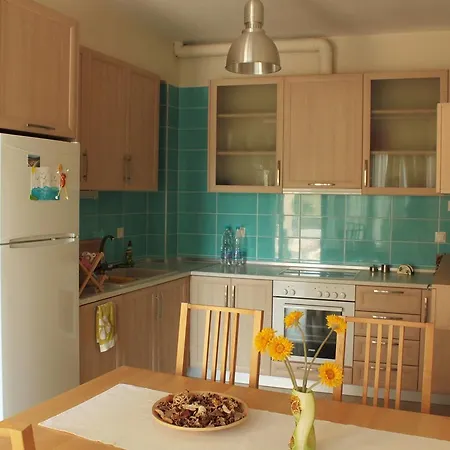 Ksenia's House In